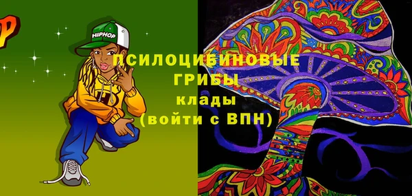 ГАЛЛЮЦИНОГЕННЫЕ ГРИБЫ Михайловск