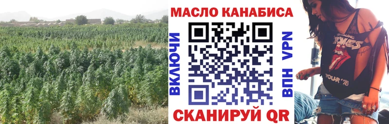 Купить  Мезень  ТГК жижа 