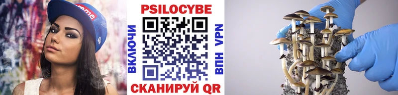 Псилоцибиновые грибы мухоморы Мезень
