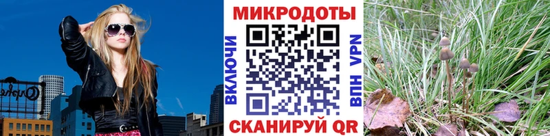 Купить где  Мезень  Псилоцибиновые грибы MAGIC MUSHROOMS 